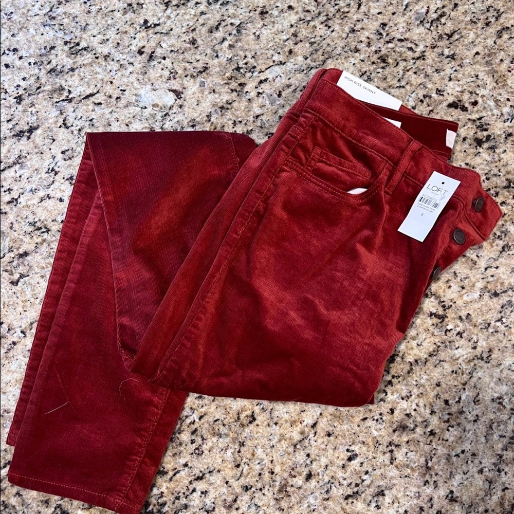 LOFT Pants